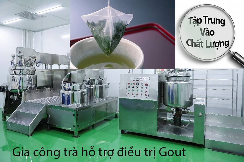Gia công trà hỗ trợ điều trị Gout