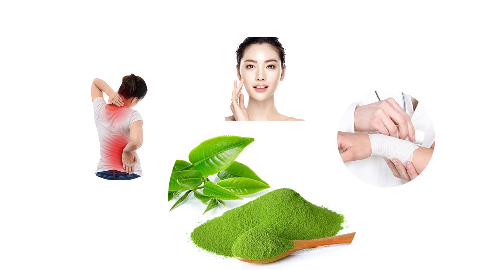 sản phẩm trà túi bột