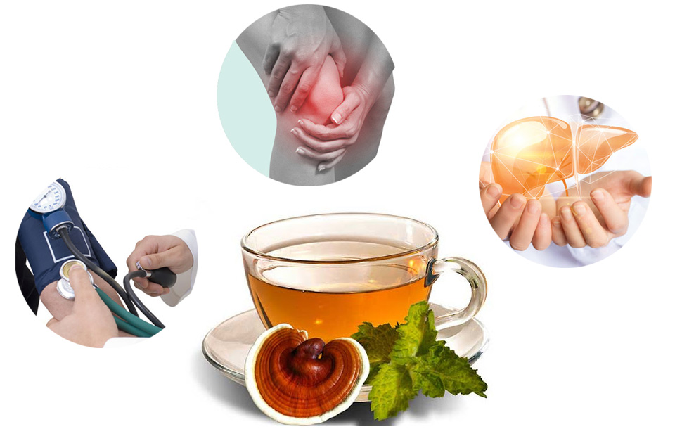 Công dụng của nấm lim xanh