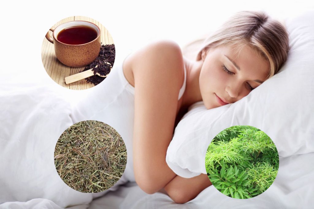 Công dụng của cây đinh lăng