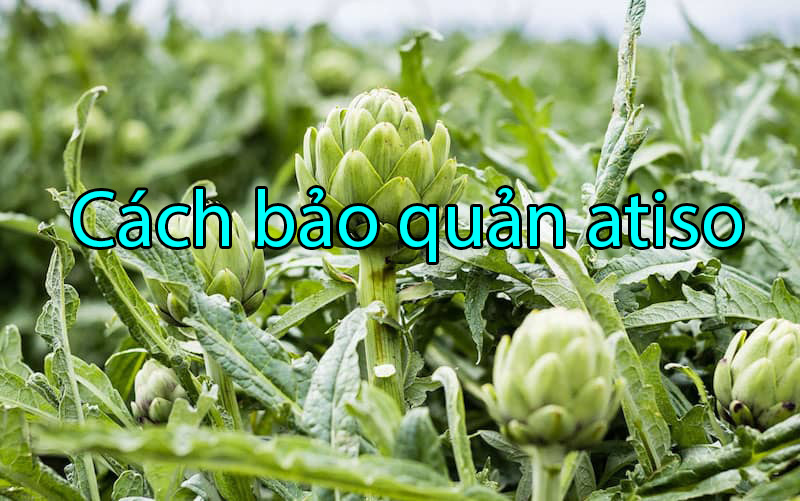 Lắng nghe tư vấn của bác sĩ