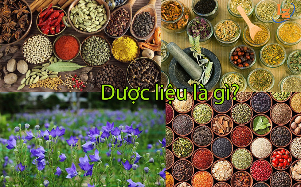 Dược liệu