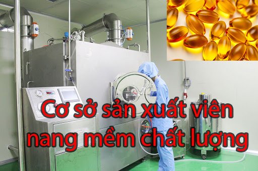 Cơ sở sản xuất viên nang mềm chất lượng