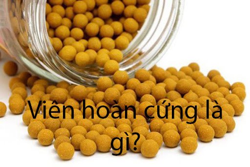 Viên hoàn cứng là gì?