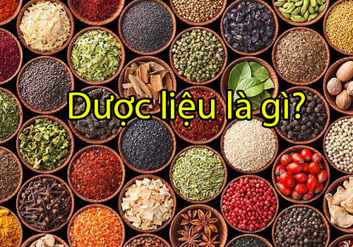 Dược liệu