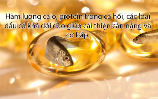 Cá hồi và dầu cá