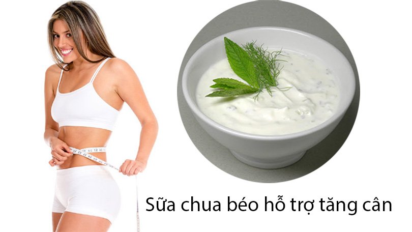 Sữa chua béo