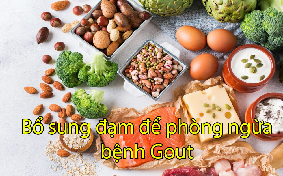Bổ sung đạm để phòng ngừa bệnh gút