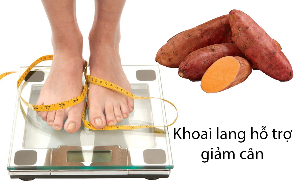 Khoai lang hỗ trợ giảm cân