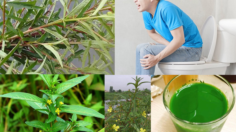 Những lưu ý khi sử dụng cây rau mương