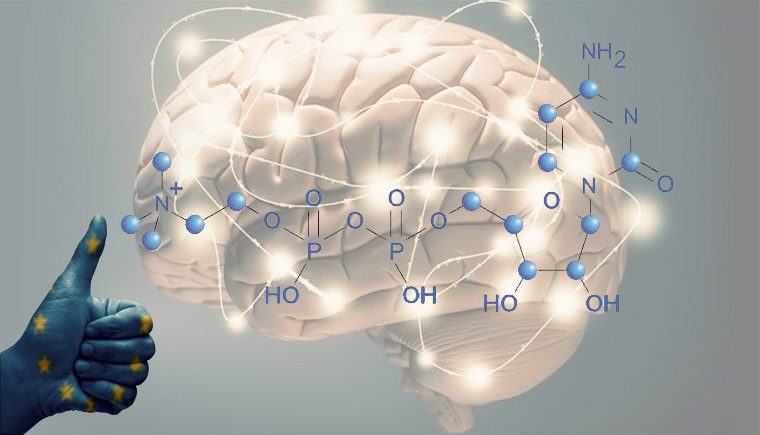 Citicoline có tác dụng gì?