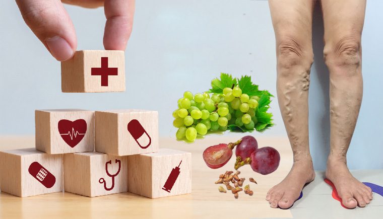 Công dụng của Proanthocyanidin (OPCs)