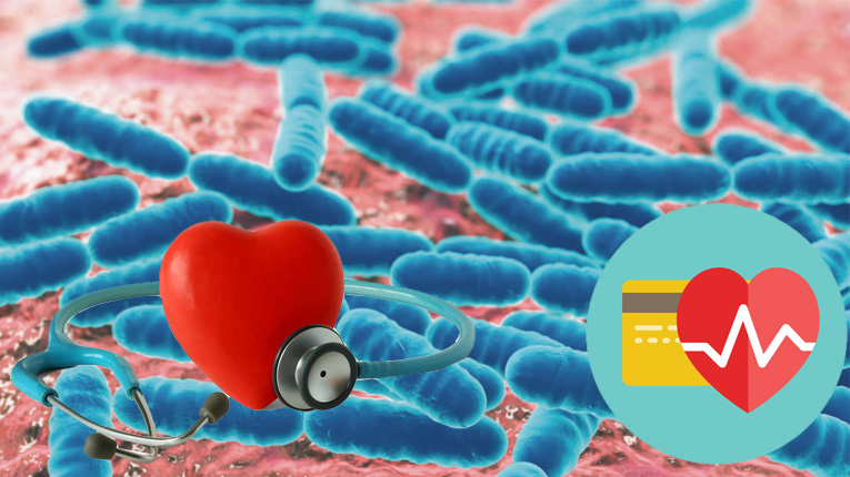 Vai trò Lactobacillus đối với sức khỏe