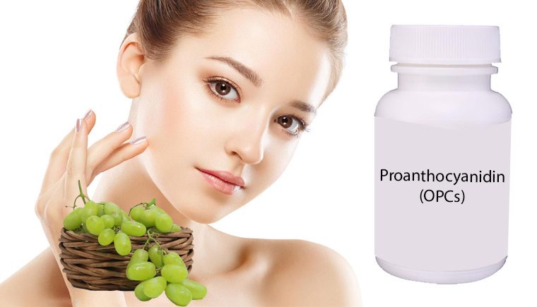 Vai trò Proanthocyanidin (OPCs) trong làm đẹp