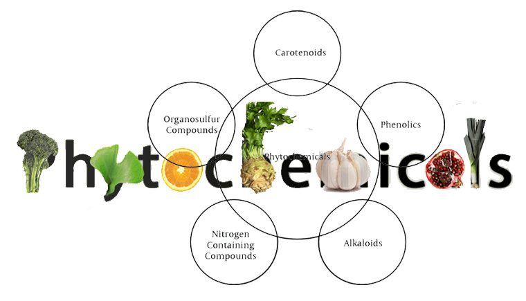 Vai trò chính của “phytochemical”  