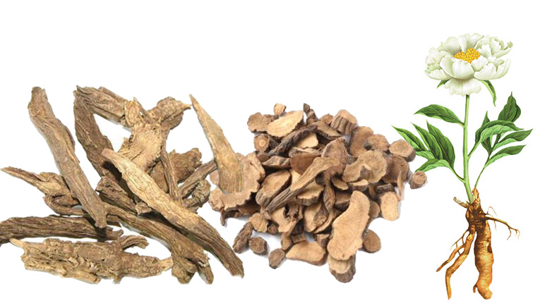 Những bài thuốc từ xích thược