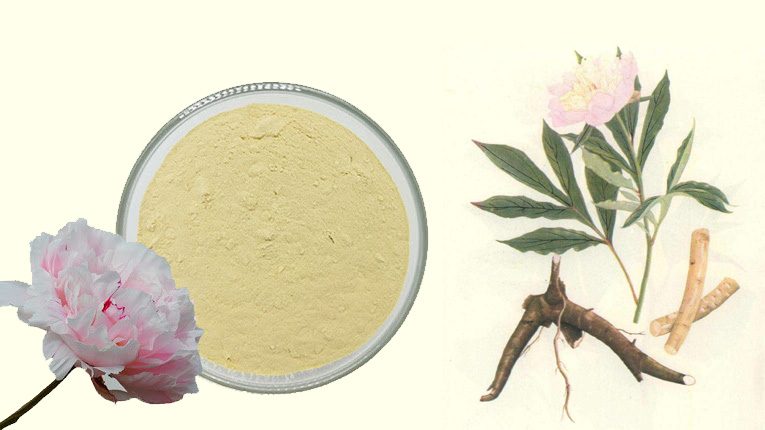 Xích thược có công dụng gì?