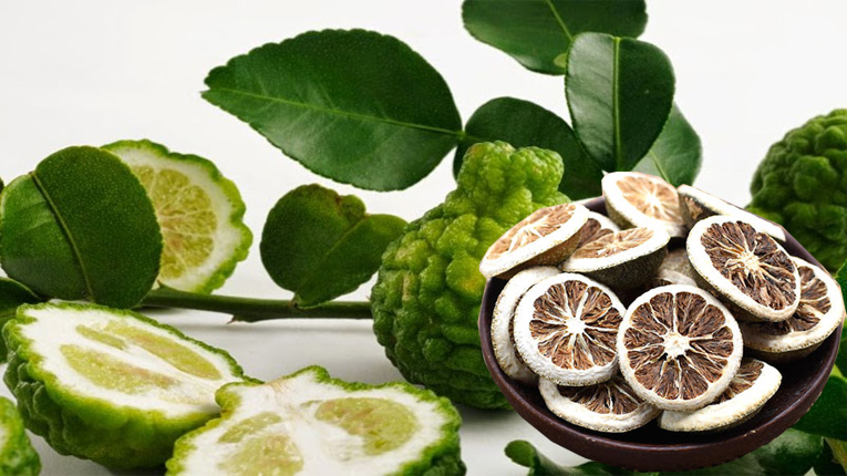 Chỉ thực là gì? Chỉ xác là gì?