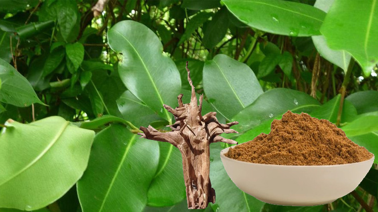 Các loại trầm hương trên thị trường hiện nay