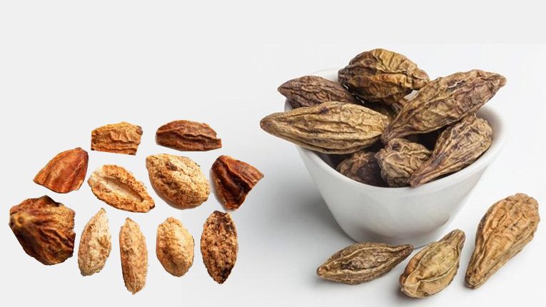Kha tử có tác dụng gì?