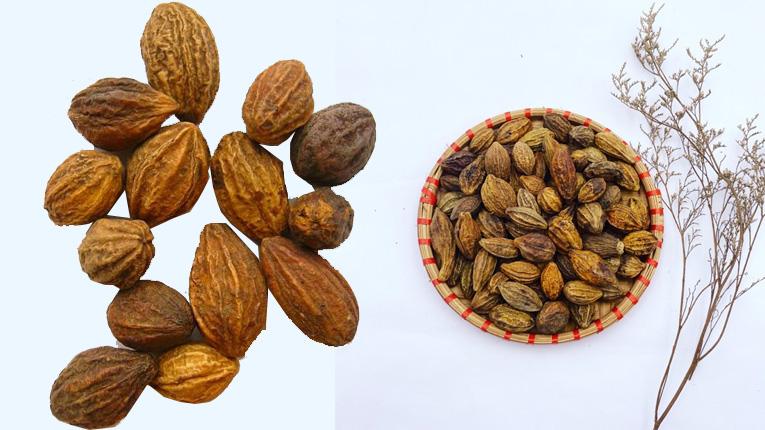 Kha tử là gì?