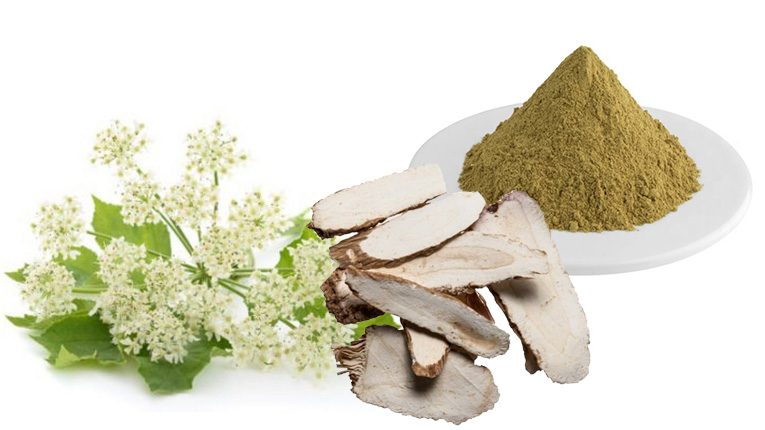 Khu vực phân bố