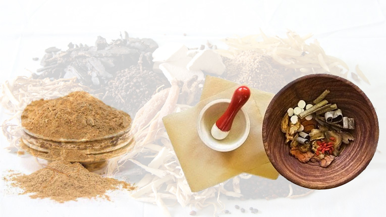 Những bài thuốc từ bạch truật