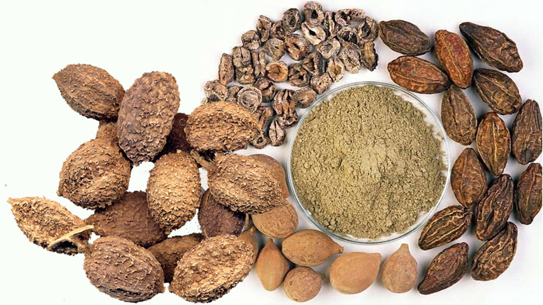 Những bài thuốc từ sa nhân