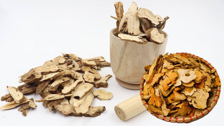 Tác dụng dược lý của bạch truật