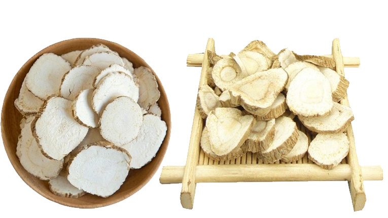 Tác dụng dược lý của bạch chỉ