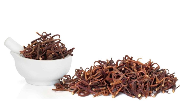 Câu đằng có tác dụng gì?