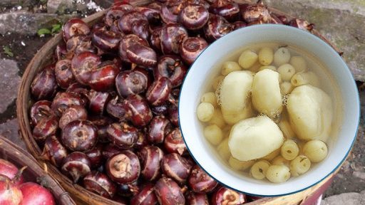 Củ mã thầy có tác dụng gì?