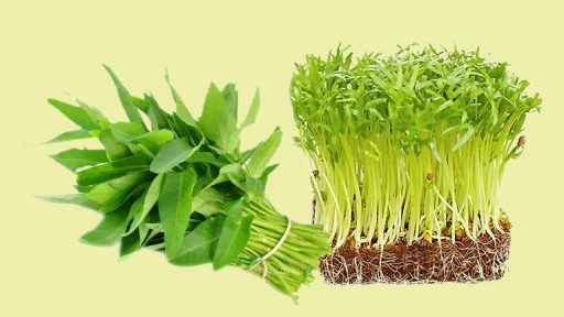 Rau muống có tác dụng gì?