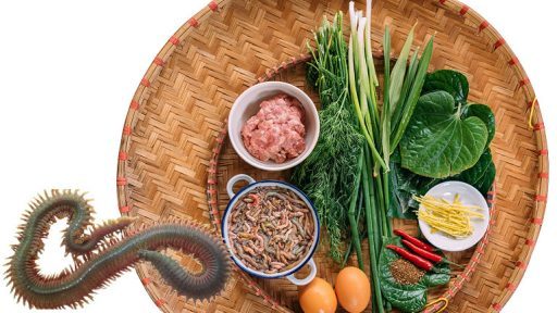 Con rươi có tác dụng gì?