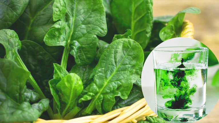 Chlorophyll có tác dụng gì
