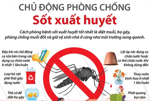 Phòng chống sốt xuất huyết Phòng chống sốt xuất huyết