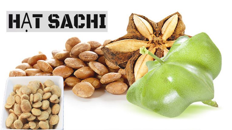 Hạt sachi có tác dụng gì Hạt sachi có tác dụng gì