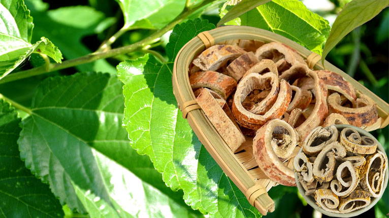 Tang bạch bì có tác dụng gì?