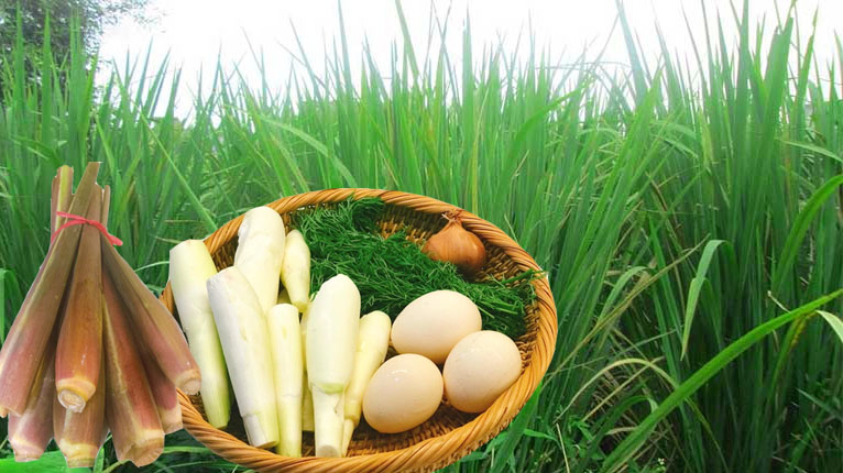 Củ niễng là cây gì?