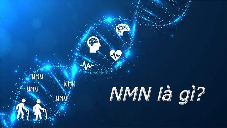 NMN là gì